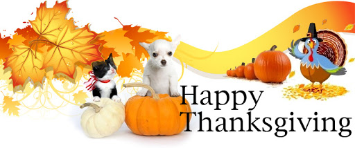 Happy Thanksgiving! conta.cc/2HFOaer
