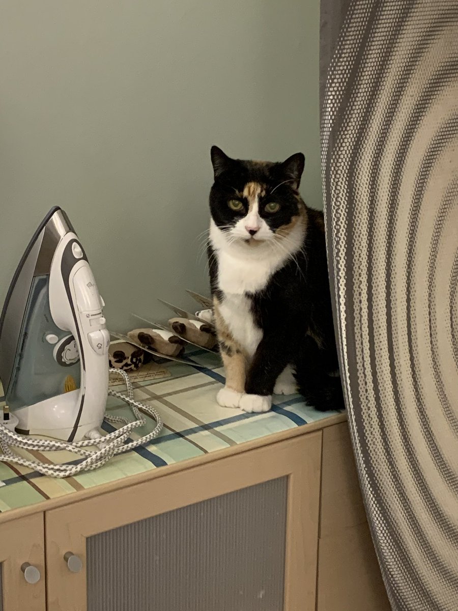 Just checking out the ironing board &amp; iron