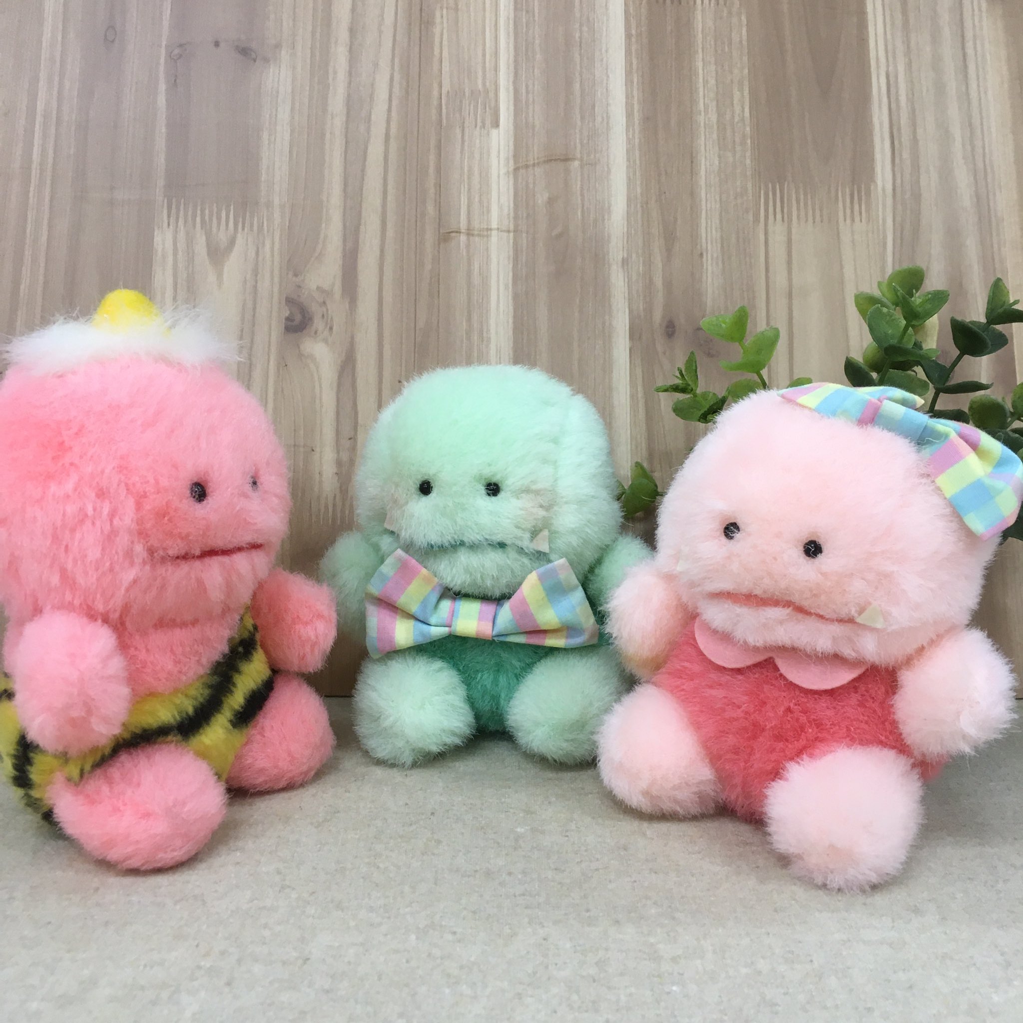 ピカポン! على X: ピカポン! على X: