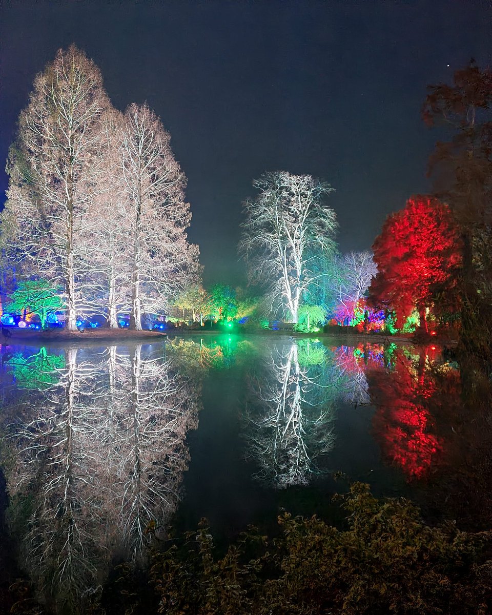 Sheila Das tweet media