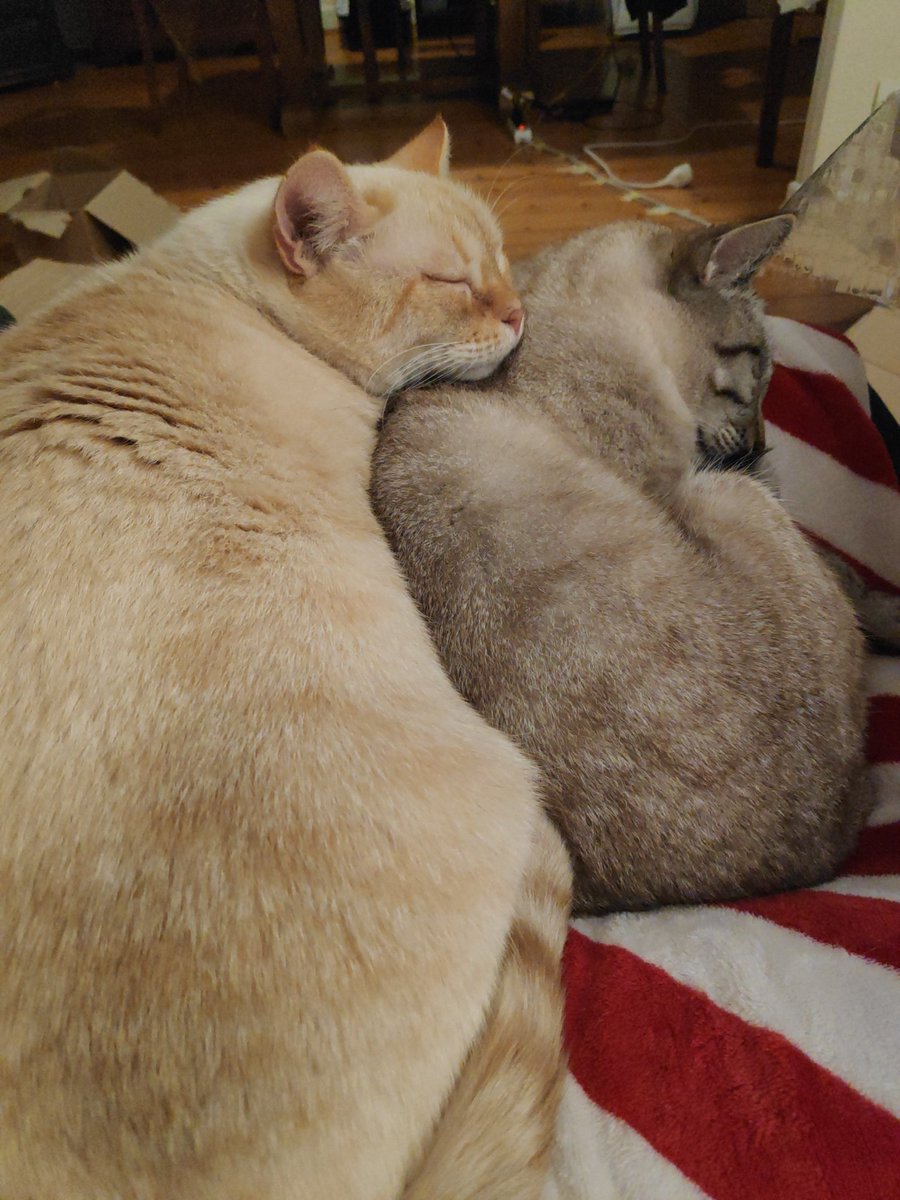 Natura-Time tweet media