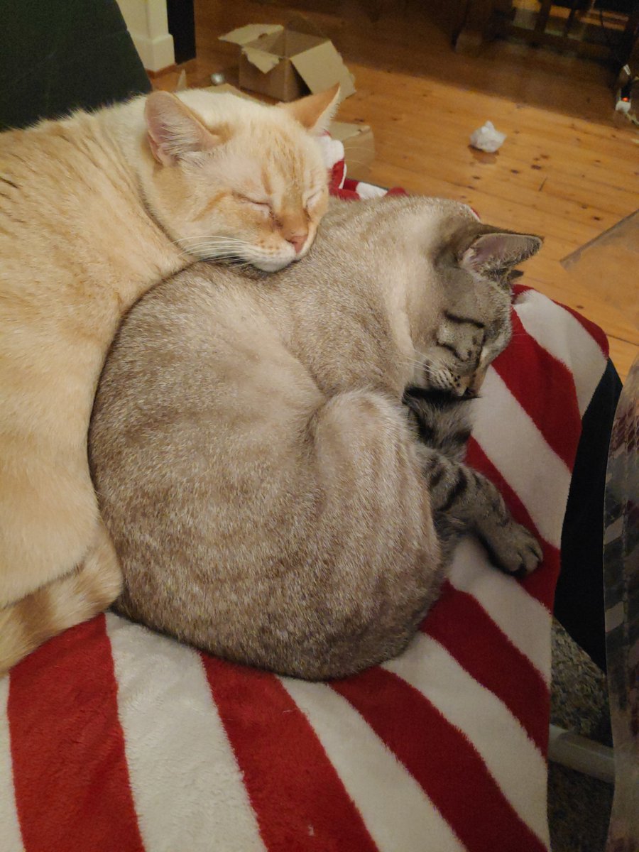 Natura-Time tweet media