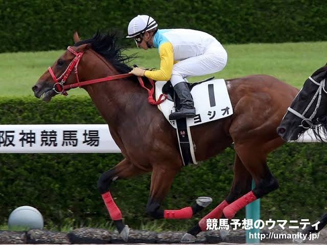 おみこ にゃん ヨシオ豆知識 前馬主がヨシオって名前だったが18年に事故で亡くなった 現馬主はその仲山誉志夫 よしお 氏の友人 と馬主仲間の西山茂行氏がブログに書いているにゃん 自分の名前つけるんだから よほど期待を込めてたんだろう オジュウ