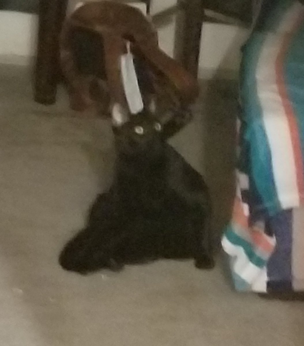 eggboy227's tweet photo. when your mom barges into your room in the morning and starts yelling at you https://t.co/ADAoWYa0iD
