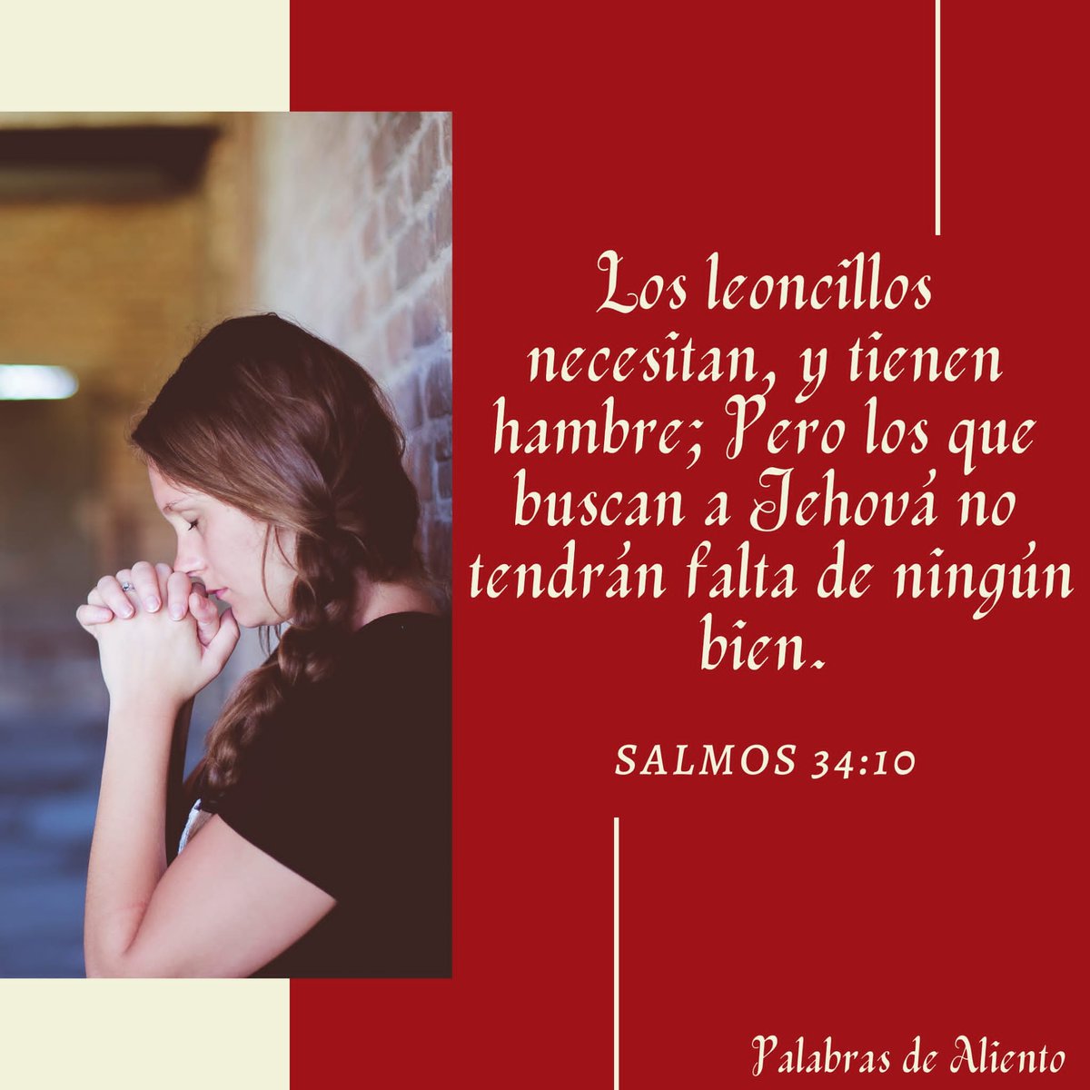 pdealiento40's tweet photo. Porque el Señor nos sustenta en todo tiempo, Él suple todas las cosas. ¡Siempre está en control, no dejes de confiar!

•Palabras de Aliento•

#Dios #palabrasdealiento #versobiblico #palabradeDios #palabradevida #biblia #bien #confianza #búsqueda #palabras #aliento https://t.co/jWdWzEVSjZ