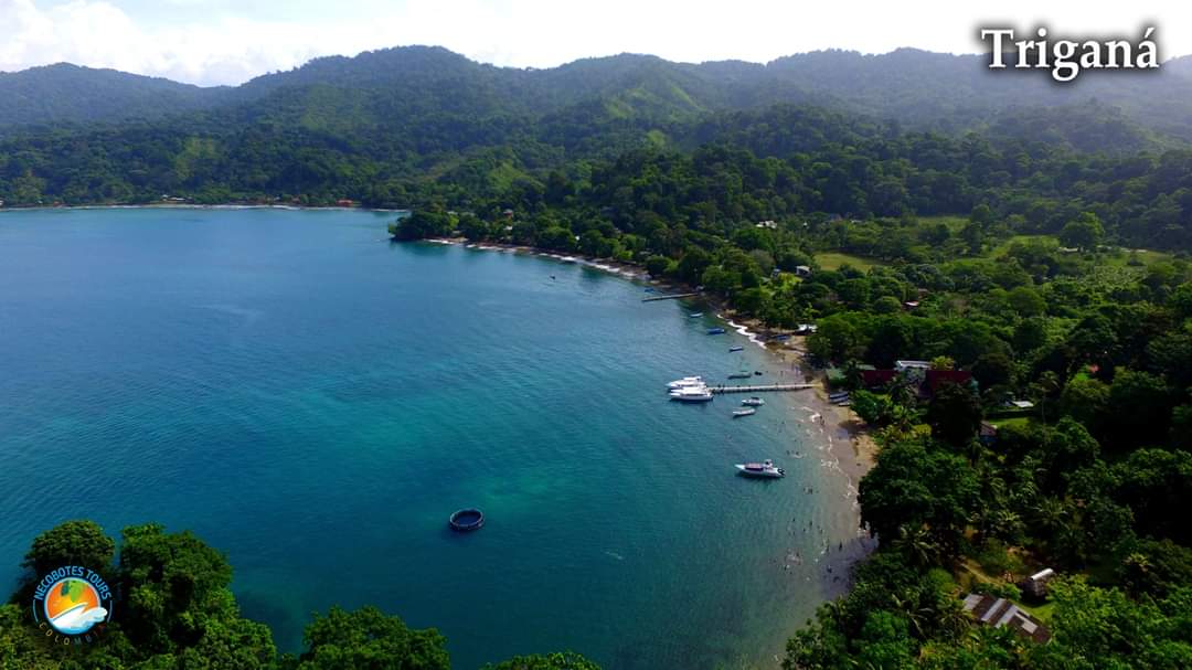 😎Quién dijo yo☝️ - 🚤Nos vamos este domingo 29 de noviembre 2020 en plan día de sol disfrutando de las hermosas 🏖playas de Sapzurro, Playa Soledad y Triganá.🌴Salida desde el municipio de Necoclí.
.
📲Información y reservas al WhatApp  wa.me/message/SIUL7B…