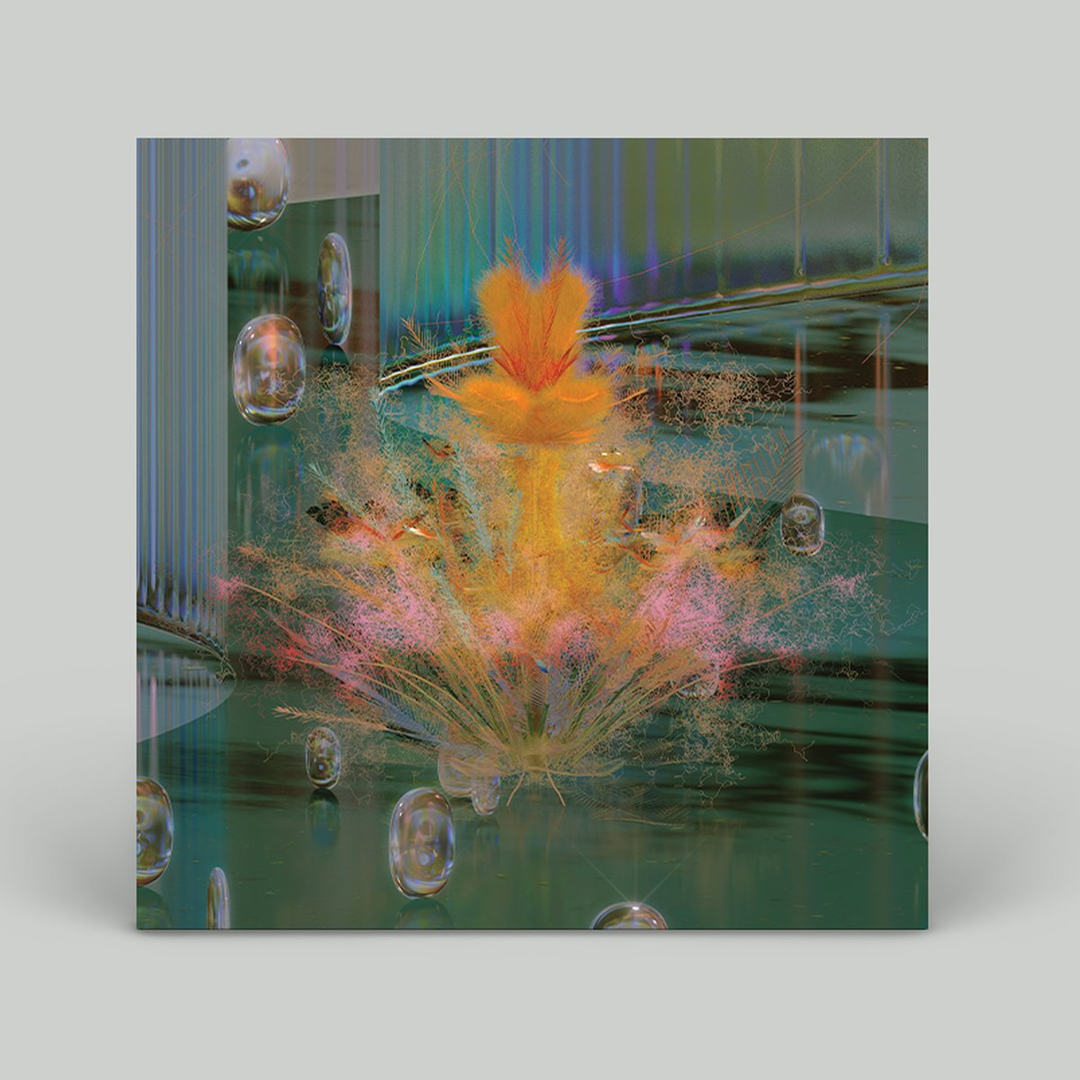 TIMEDANCE tweet media