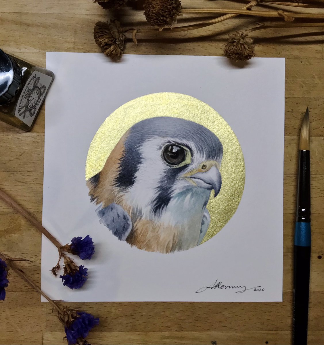 American Kestrel, watercolors and gold ink. For the monthly #birdwhisperer project! 💙 

#watercolors #birdwhispererproject #birds