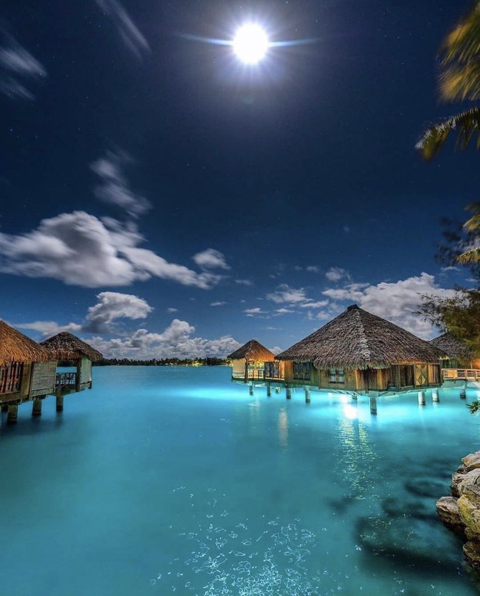 INTERIORPORN1's tweet photo. Bora Bora so where I NEED to be https://t.co/TxgBwfSzw1