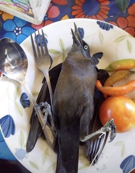 Well finally got my plate finna go crazy https://t.co/BlJiMFTKcH<a href="/tag/nintendoswitch"class="tags"><span>#nintendoswitch</span></a>