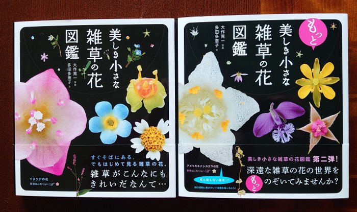 多田多恵子 Twitter Search Twitter