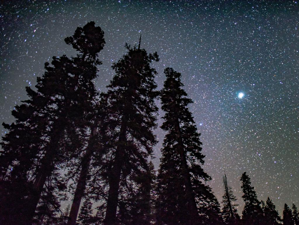Nata27Best's tweet photo. Доброй ночи. Good night. https://t.co/xeGstrcUIu
