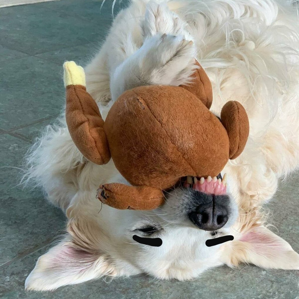 Chief Brody Brows tweet media