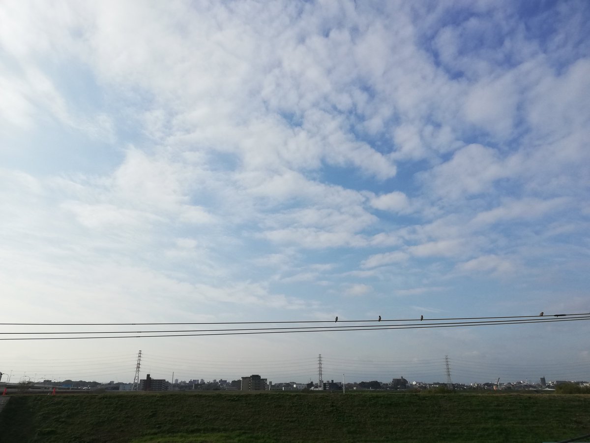 kmt_sbd's tweet image. 戸田市は晴。
過し易い天気です(^^♪

今、#きもとblog では、「子どもの頃になりたかった職業（夢）」をシリーズ化して掲載しています。
昨日息子に「夢は何？」と聞いてみたらとてつもない大きな夢を語り出し少々焦りました‥

今日も宜しくお願いします！

#企業公式が毎朝地元の天気を言い合う