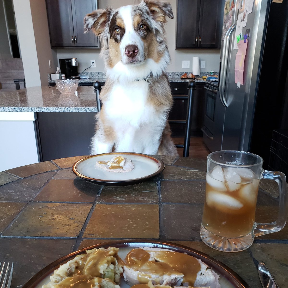So much to be thankful for, even though it was a different kind of Thanksgiving. I spent mine with a good listener but a lousy conversationalist.