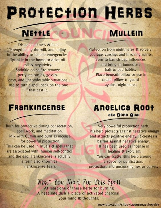 MediumshipGuide's tweet photo. Protection Herbs #apothacary #herbalife #holistic #spiritualhealing #spiritualguidance #spiritualpalth https://t.co/0ZkaVkjGJ9