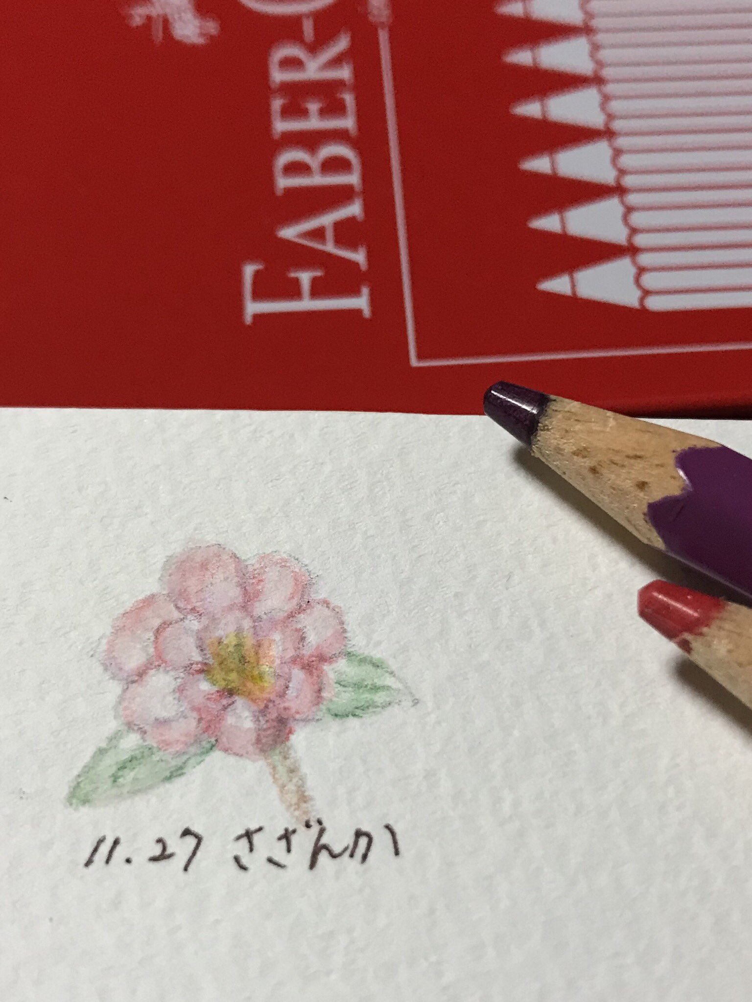 Atelier M Birthday Flowers 11月27日の誕生花は さざんか 花言葉は ひたむきさ 困難に打ち克つ など お誕生日の皆さん おめでとうございます 強い寒さの中でも咲き誇る姿から 生まれた花言葉 昔は椿油のように髪油に使われていたそう 11月