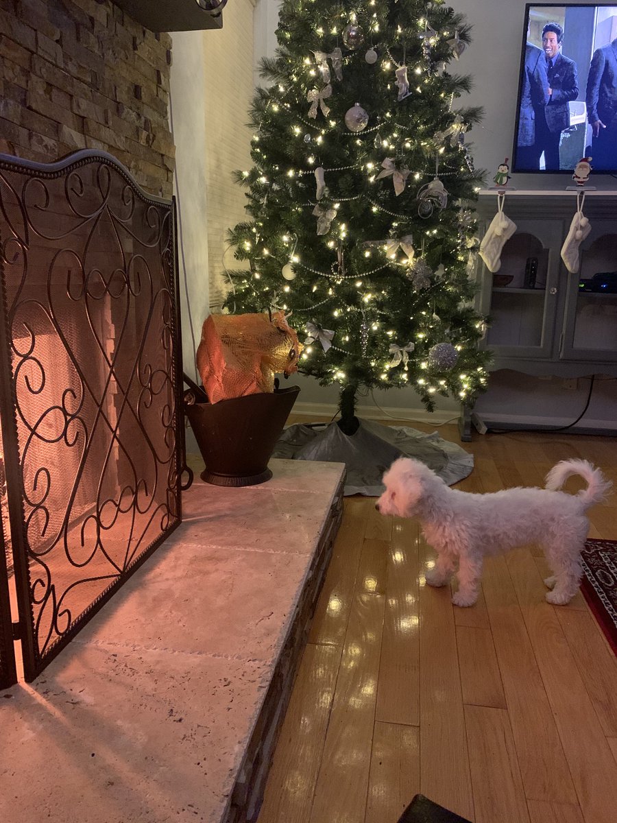 PhelpsHeather7's tweet photo. Waiting for Santa 🎅🏻 #ellamae https://t.co/32QlXGyL32