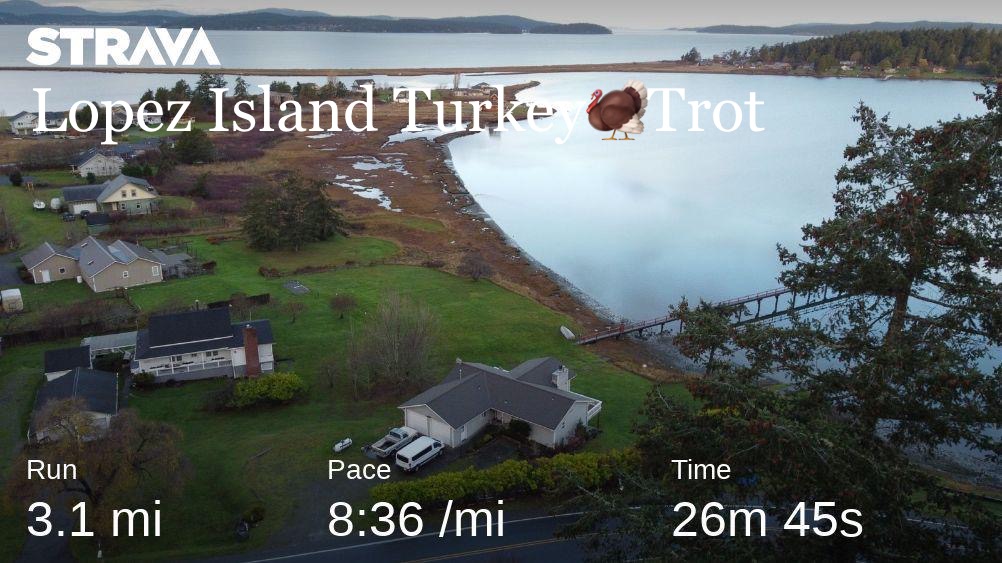 peteefrantz's tweet photo. . @ShafterHigh #turkeyruns #generalborngeneralbred https://t.co/pQXjKKTpbE