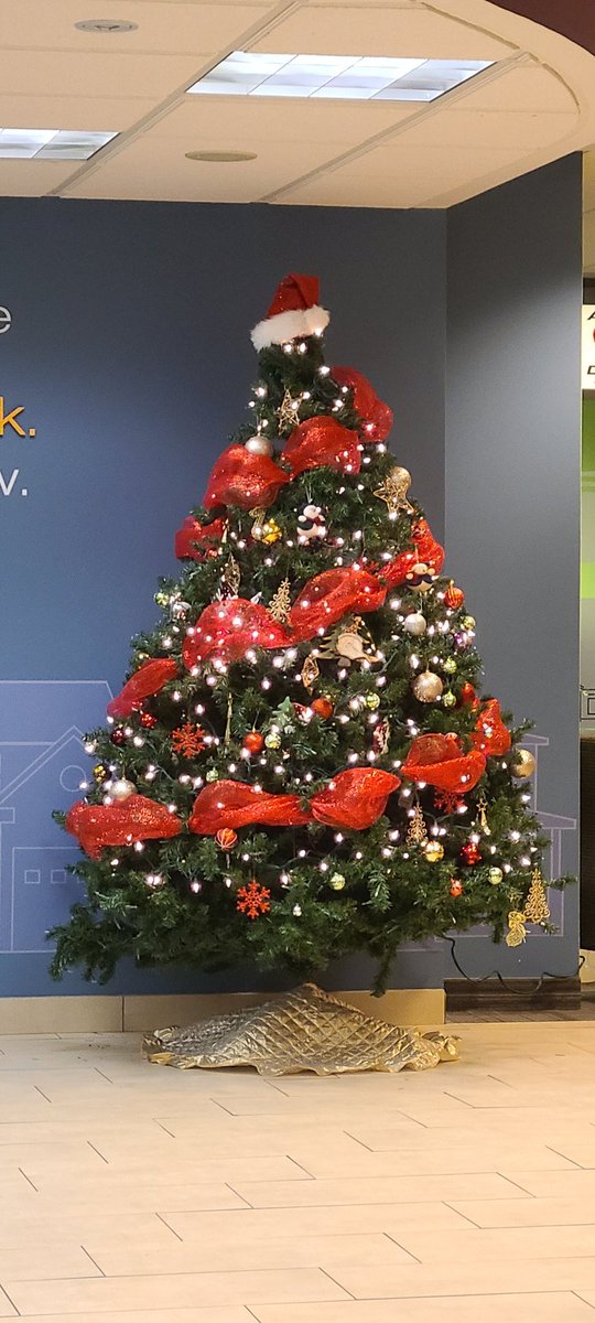 Stacey199019's tweet photo. Christmas has arrived at Port Elgin Branch! 🎄❤ https://t.co/UIfF98rmxt