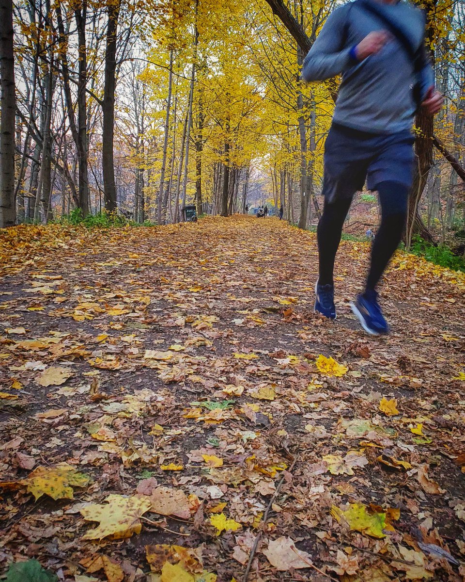 CLIMBHamilton's tweet image. It's Friday Junior! Hands up who's getting ready to summit #EverestInHamont in this weekend? Tag us in all your climb posts, from now until Dec 31 and we'll be sure to share!

Register and conquer the world's tallest mountain from our city today!
climbhamilton.com
#hamont