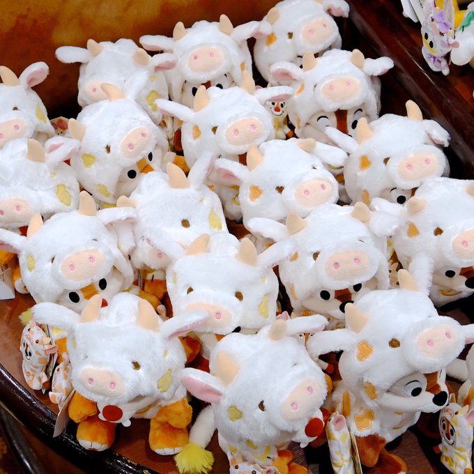 Popular Tweets Of Mezzomikiのディズニーブログ 11 Whotwi Graphical Twitter Analysis