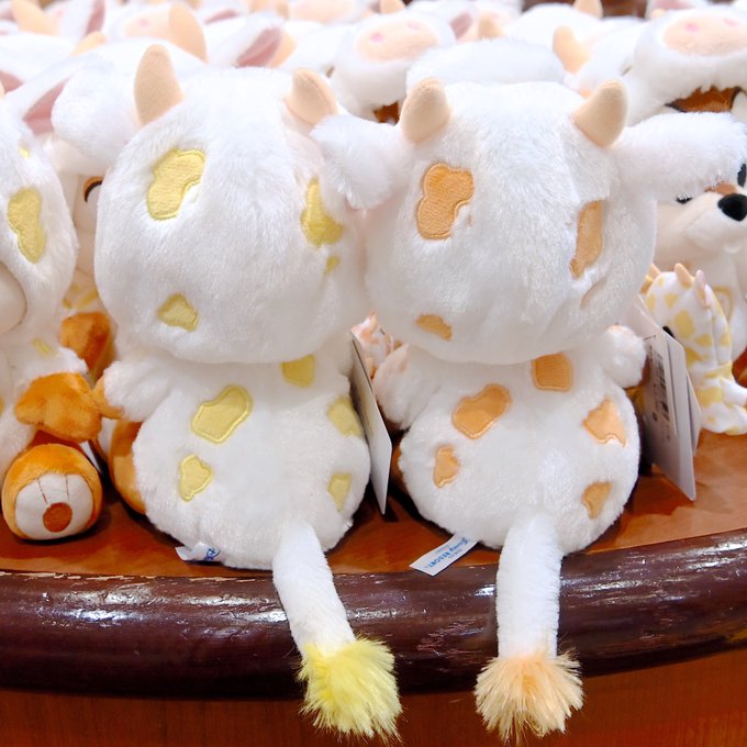 Popular Tweets Of Mezzomikiのディズニーブログ 11 Whotwi Graphical Twitter Analysis