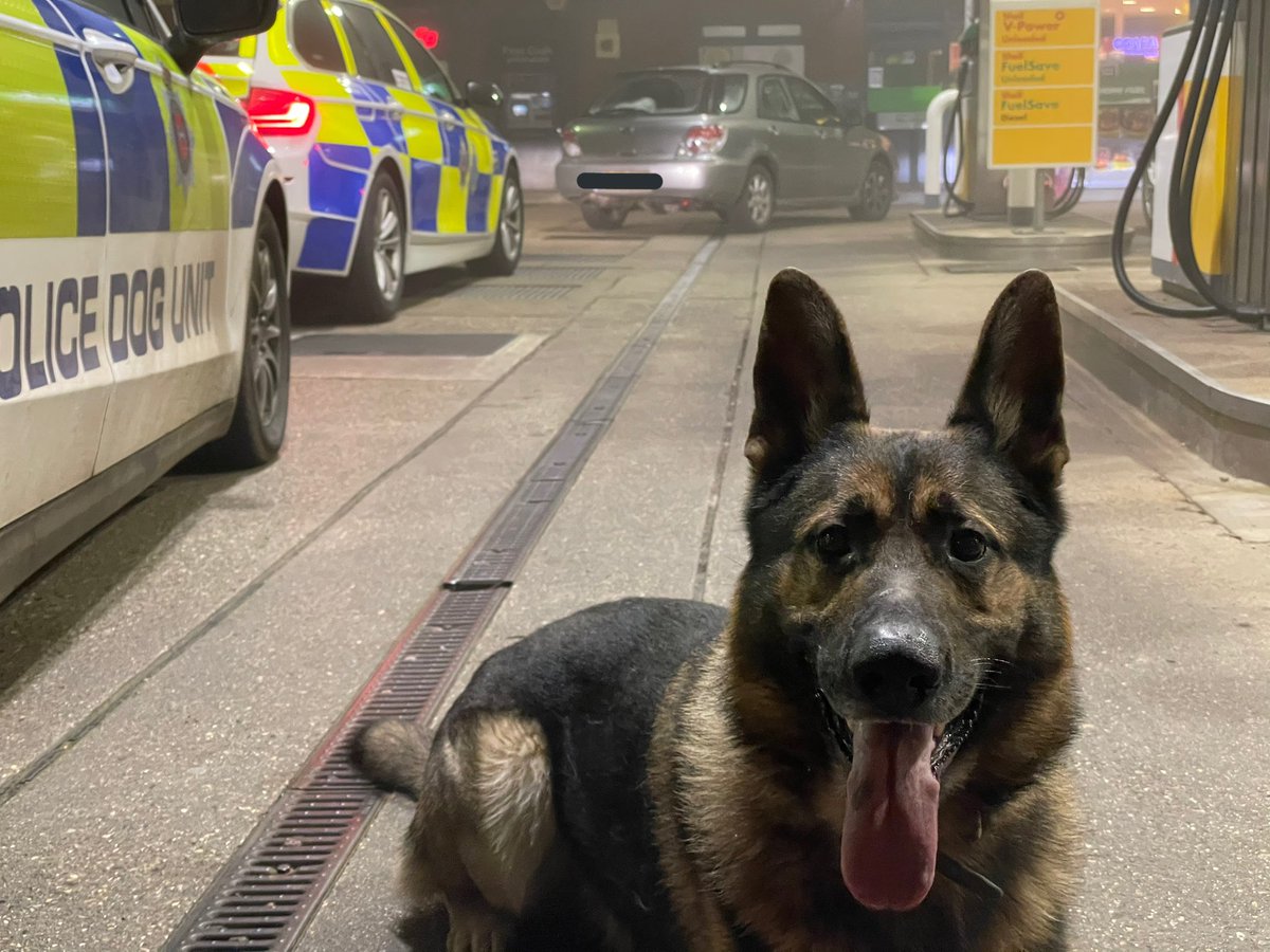SurreyRoadCops's tweet photo. The occupants of the Subaru made off as we pulled into the petrol station.
Tracking by @sspoldogsection found the driver.
Driver arrested for Drug Driving, No Licence and No Insurance.
#TheNoseKnows #Fatal5 #whosagoodboy https://t.co/ReJXzloIq5