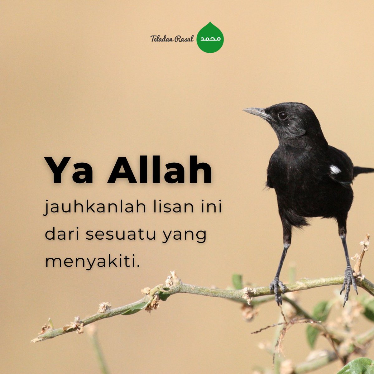 Bantu kami menjaga lisan kami yaa Rabb #TeladanRasul