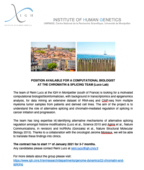 Reini Luco tweet media