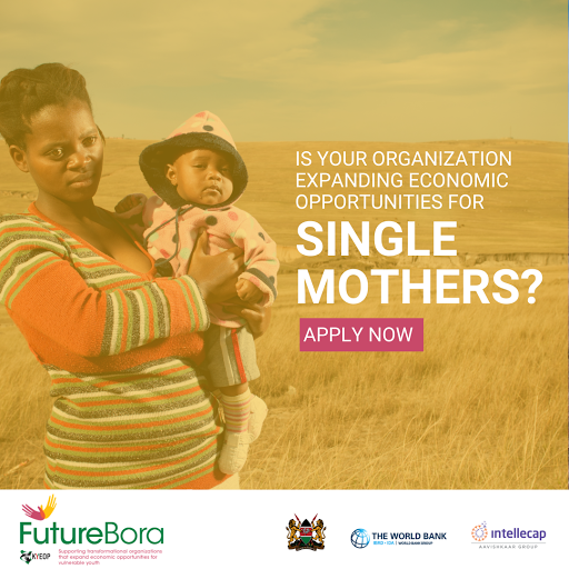 FutureBora's tweet photo. Does your organization work to expand economic opportunities for single mothers aged between 18 - 29 years old? If this is you; Apply for the #FutureBora initiative Now: https://t.co/ezaejIJrzV https://t.co/4ZbHdG0JGO