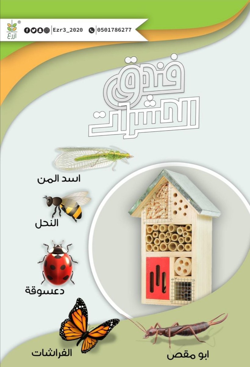 فندق الحشرات

قبل ما يقارب العام كنت في فرنسا، وخلال زيارتي لأحد المزارع وجدت هذا المجسم داخل بيت مح...