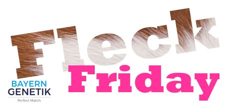 Klik hier voor de Fleck Friday deals: bayerngenetik.nl/fleck-friday

Profiteer vandaag van deze verrassende deals tijdens Fleck Friday.