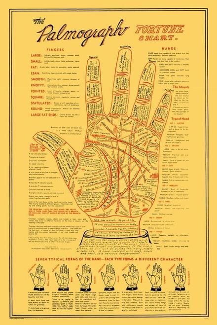 MediumshipGuide's tweet photo. The Palmograph #palmistry #palmreading #palmist #mediums #psychicmedium #clairvoyance https://t.co/fcTB3Z8fIs