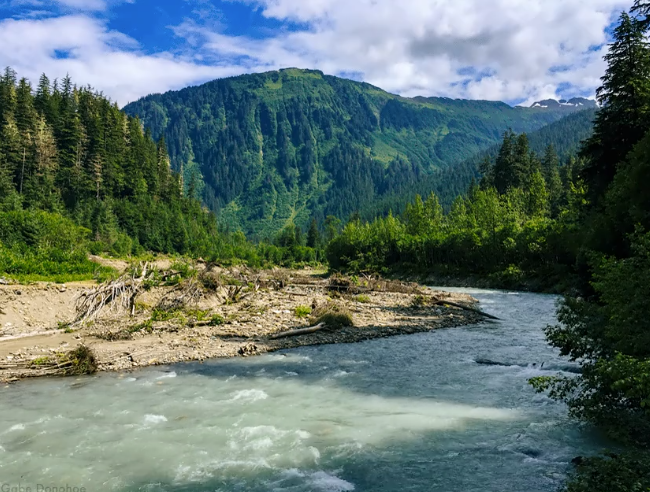 SimpleFlask's tweet photo. The higher I got, the more amazed I was by the view. 🌲#travel #outdoor #sports #water https://t.co/5B4XpPC7n5
