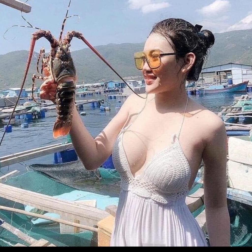 tailkoxyz's tweet photo. Eksport benih lobster di STOP ya. Bagus deh!

Mending eksport yg udah gede, harganya bisa lebih dari Rp.4 jt keatas, bisa melonjak lagi, saat Natal, Tahun Baru dan hari raya China..... https://t.co/sviuCT8xyw