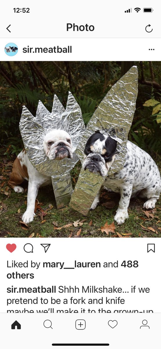 If you are not following Sir.Meatball- you are missing great pictures and a diversion from 2020