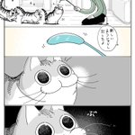 新品の猫じゃらしだとテンションも上がる？!可愛すぎて癒される猫漫画!