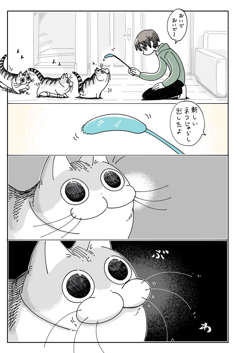 新品の猫じゃらしだとテンションも上がる？www可愛すぎて癒される猫漫画！