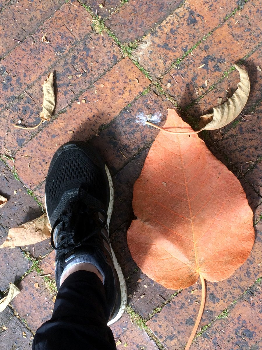 Ana Carolina Pereira tweet media