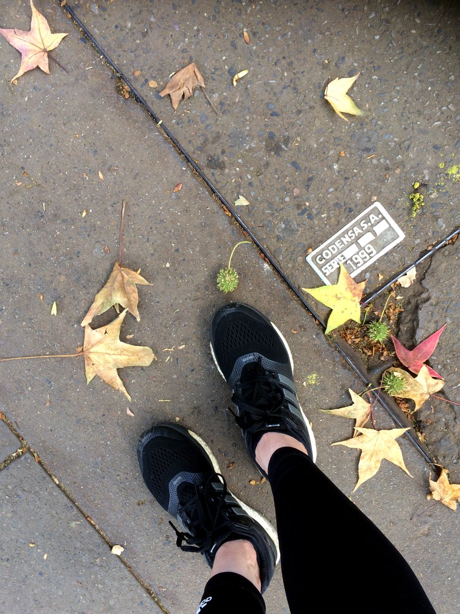 Ana Carolina Pereira tweet media