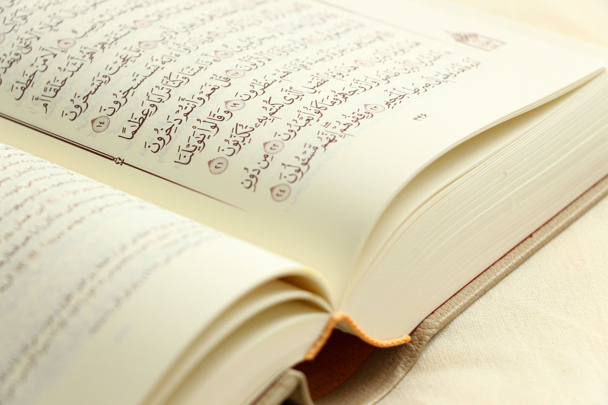 SeekersGuidance's tweet photo. "I want to express my sincere gratitude to SeekersGuidance. The course exploring what Muslims believe and why has transformed my life."
Gain a foundational understanding in Islamic beliefs with this spiritually nourishing course, sign up today for free: https://t.co/bjRrCPkczP https://t.co/ZeHjCN2TeF