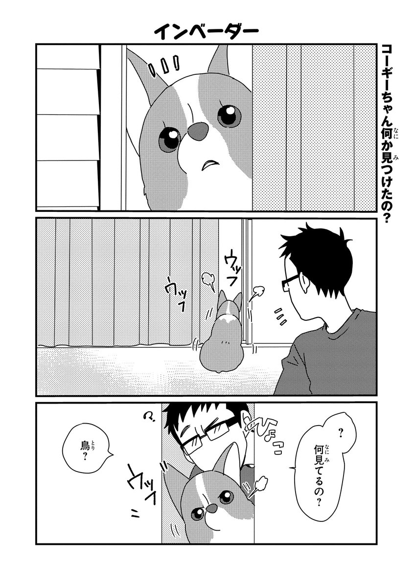 ট ইট র ジーンピクシブ公式アカウント ジーンピクシブ特別更新 あしょんでよッ うちの犬ログ 第66話 T Co 3ep1zgbivr ベランダにまさかのお客さんが来ているメガ これはとーたんを独り占めできなくなっちゃう危機 メガにゃん ট ইট র ジーンピクシブ公式アカウント ジーンピクシブ特別更新 あしょんでよッ うちの犬ログ 第66話 T Co 3ep1zgbivr ベランダにまさかのお客さんが来ているメガ これはとーたんを独り占めできなくなっちゃう危機 メガにゃん