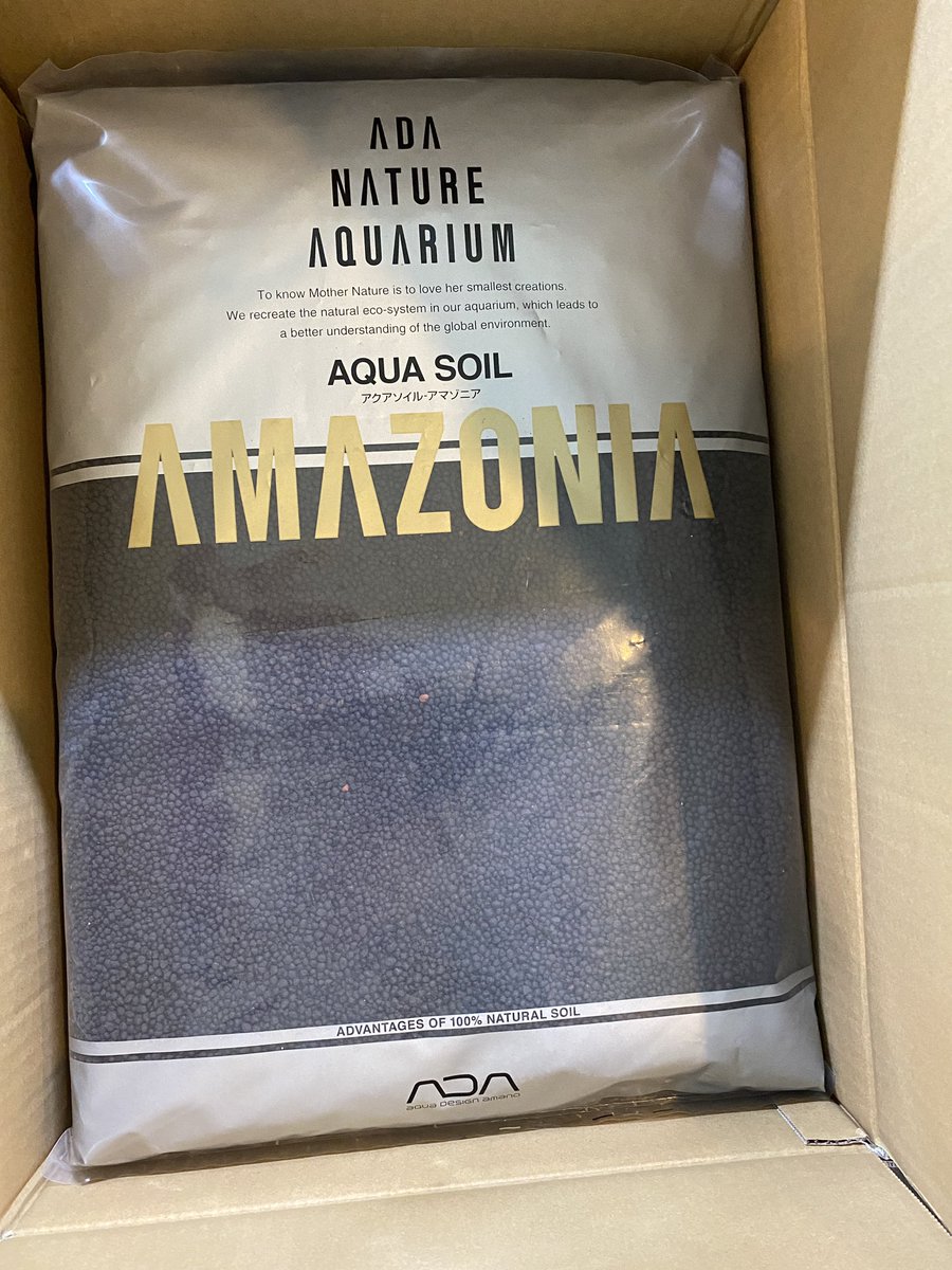 アマゾニア アマゾニア