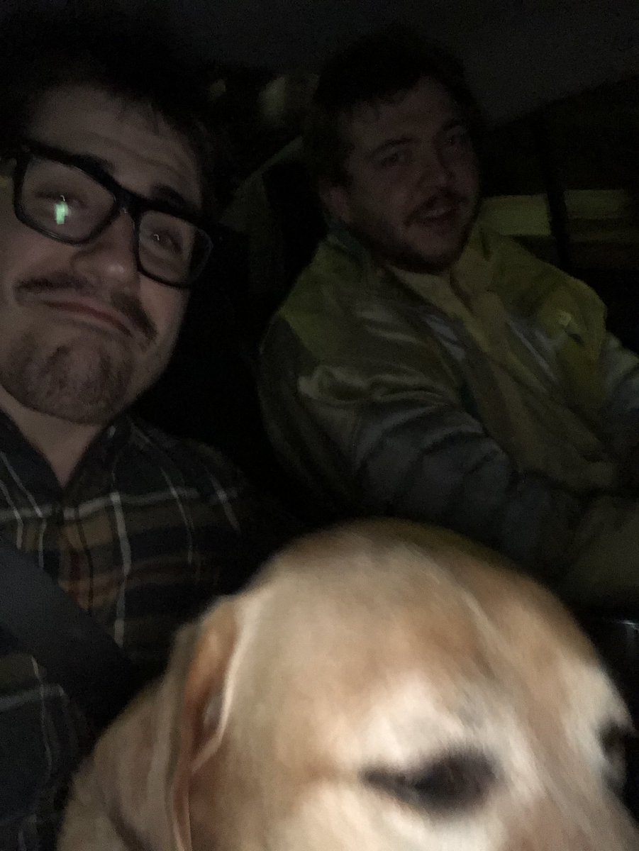 We showed up to Thanksgiving with  pie and left with a doggo. 

The rest of 2020 should manageable.