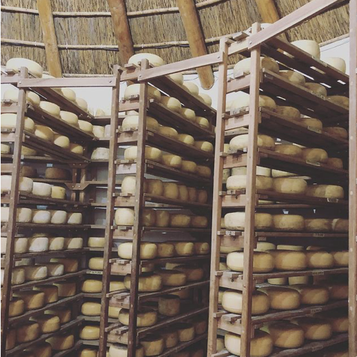 Prince Albert Tourism tweet media