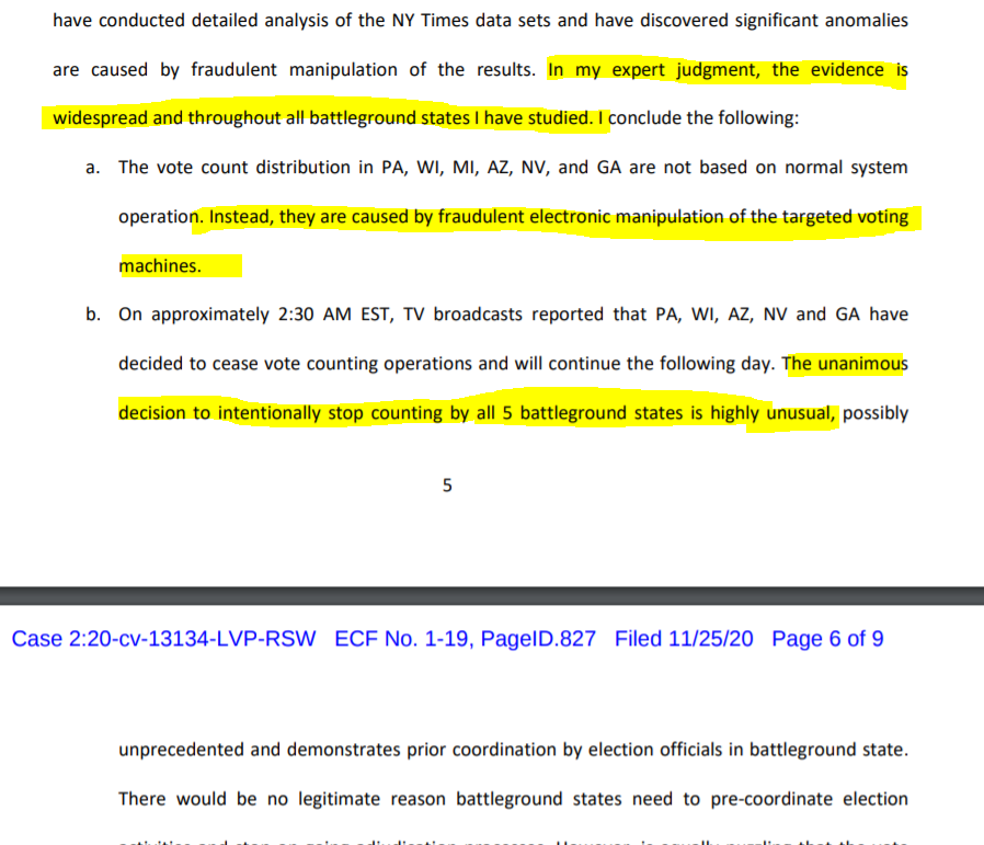 "In my expert judgment, the evidence is widespread and throughout all battleground states I have studied."