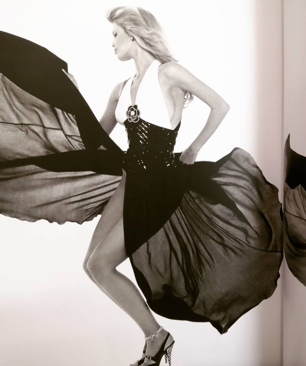 クラウディアシファー Twitter Search Twitter