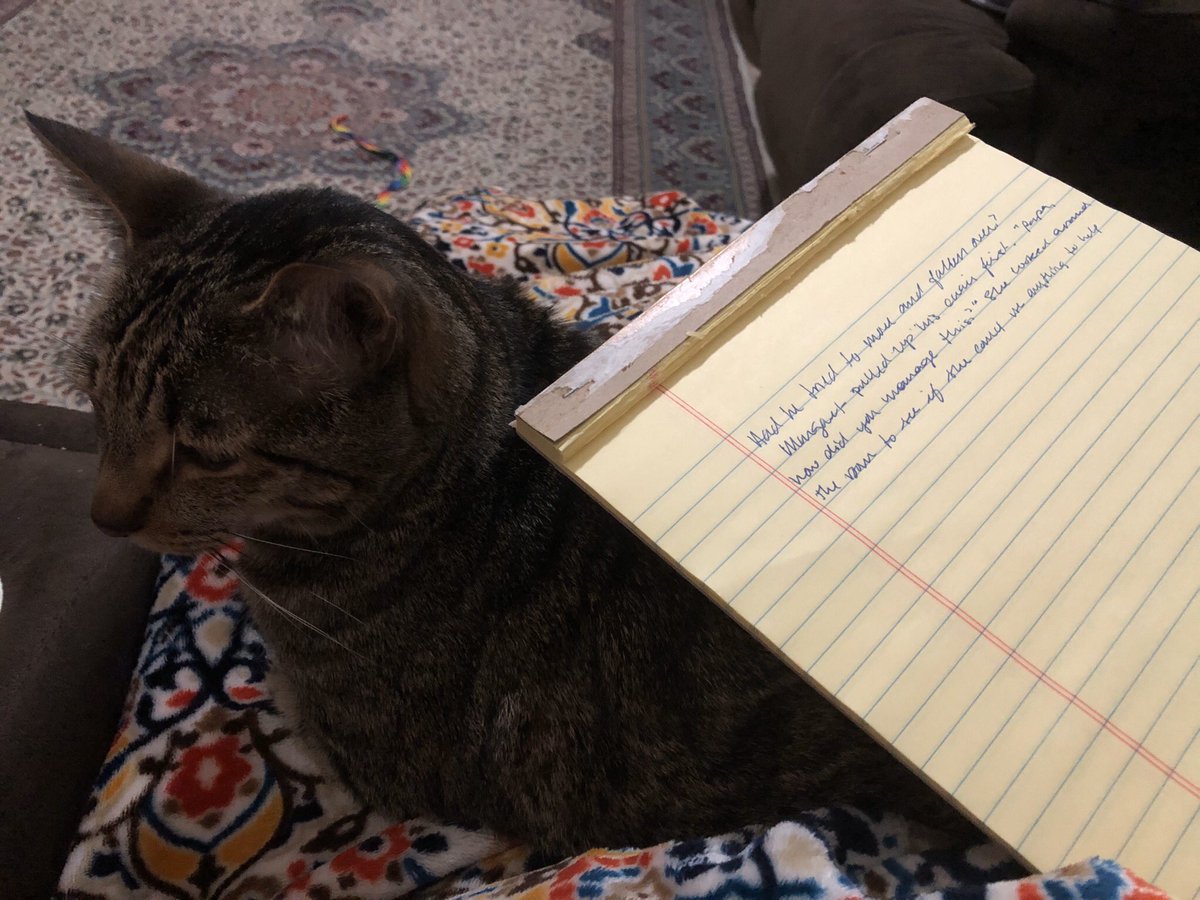 zebookverm's tweet photo. If he isn’t going to allow me my lap, he’s going to become my table. 

#amwriting #writingbyhand #wip #writingcommunity #catsoftwitter https://t.co/E0Dmog5GpI