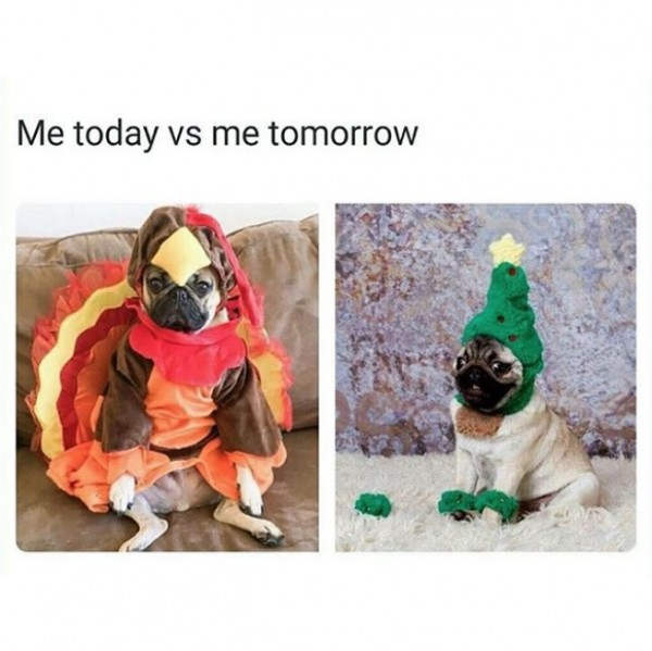 HumorSeriously's tweet image. Who else relates? 🎄Happy Thanksgiving from #HumorSeriously! (yes, books can post on Instagram, it’s 2020, go with it.) 🦃